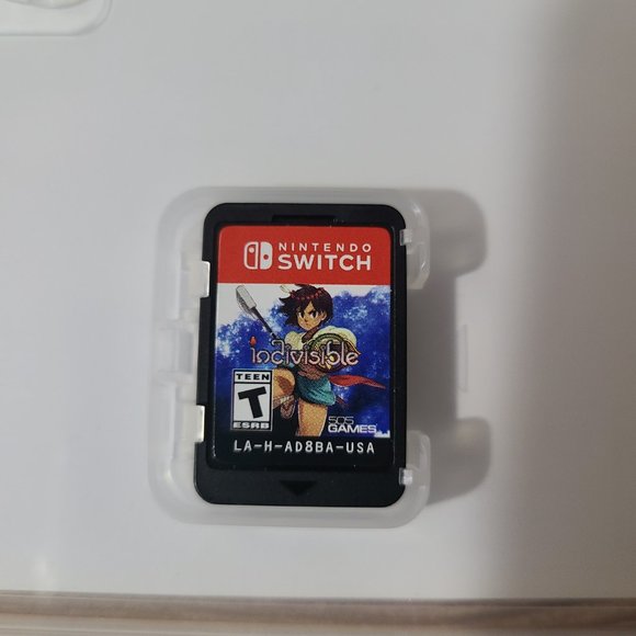 Indivisible Nintendo Switch Game - Picture 3 of 4